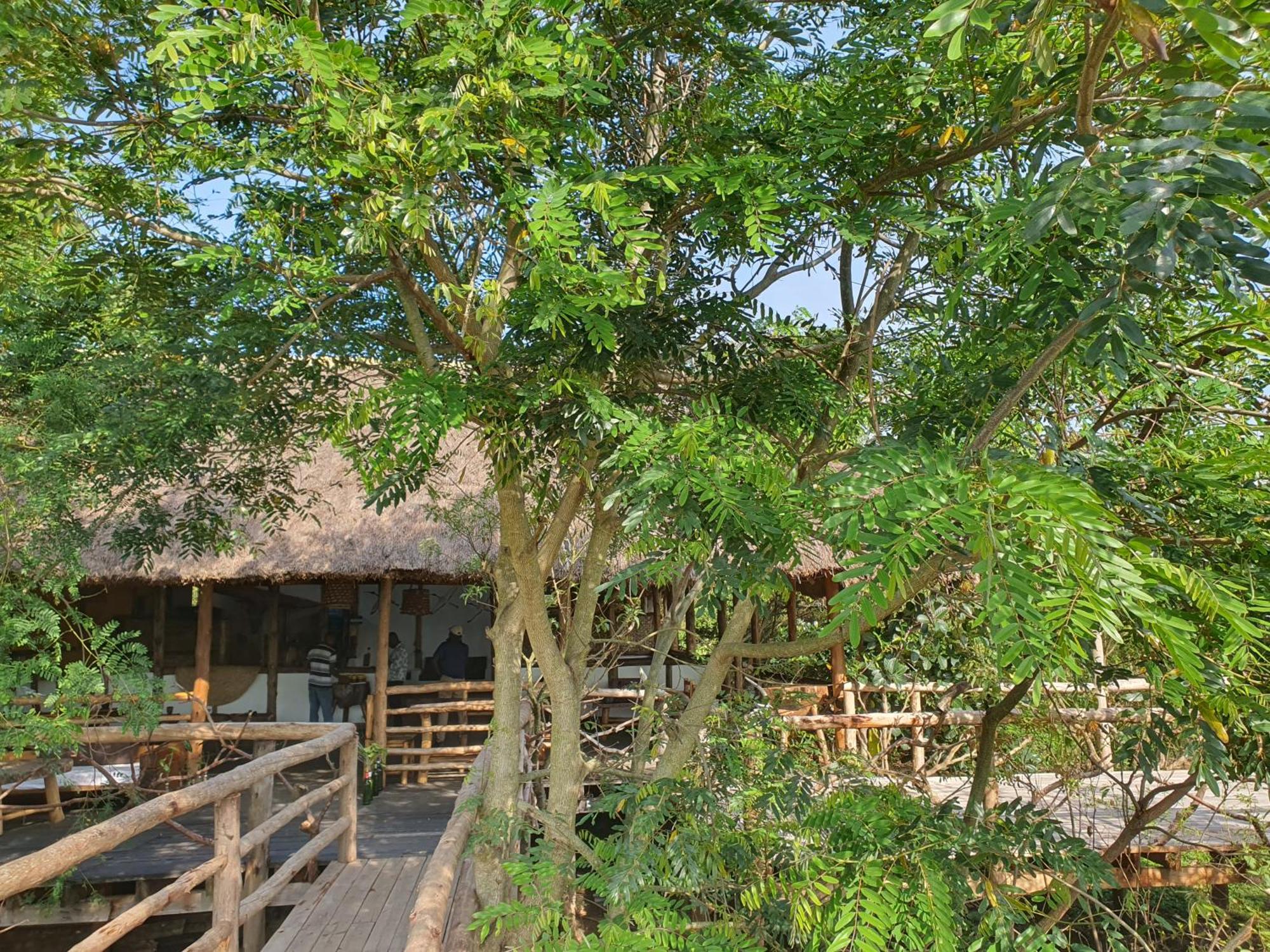 Topi Lodge Katunguru Zewnętrze zdjęcie